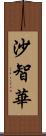 沙智華 Scroll