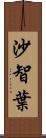 沙智葉 Scroll