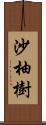 沙柚樹 Scroll