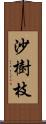 沙樹枝 Scroll