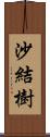 沙結樹 Scroll
