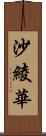 沙綾華 Scroll