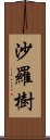 沙羅樹 Scroll