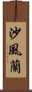 沙風蘭 Scroll