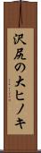 沢尻の大ヒノキ Scroll