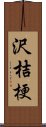 沢桔梗 Scroll