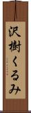沢樹くるみ Scroll