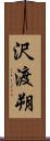 沢渡朔 Scroll