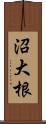 沼大根 Scroll