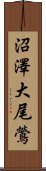 沼澤大尾鶯 Scroll