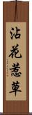 沾花惹草 Scroll