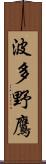 波多野鷹 Scroll