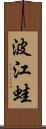 波江蛙 Scroll