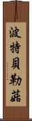 波特貝勒菇 Scroll