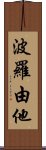 波羅由他 Scroll