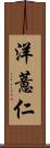 洋薏仁 Scroll