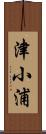 津小浦 Scroll