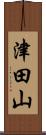 津田山 Scroll