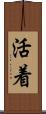 活着 Scroll
