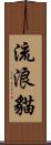 流浪貓 Scroll