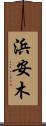 浜安木 Scroll