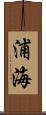 浦海 Scroll