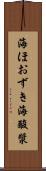 海ほおずき Scroll