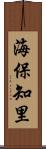 海保知里 Scroll