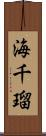海千瑠 Scroll