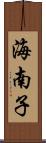 海南子 Scroll