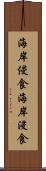 海岸侵食 Scroll