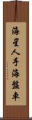 海星 Scroll