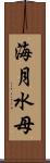 海月 Scroll