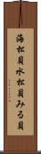 海松貝 Scroll