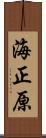 海正原 Scroll