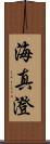 海真澄 Scroll