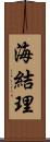 海結理 Scroll