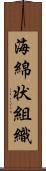 海綿状組織 Scroll