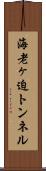 海老ヶ迫トンネル Scroll