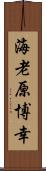海老原博幸 Scroll