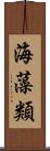 海藻類 Scroll