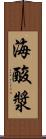 海酸漿 Scroll