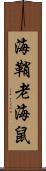 海鞘 Scroll
