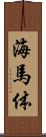 海馬体 Scroll