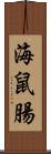 海鼠腸 Scroll