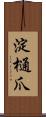 淀樋爪 Scroll