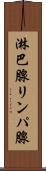淋巴腺 Scroll