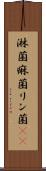 淋菌 Scroll