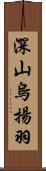 深山烏揚羽 Scroll