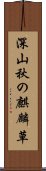 深山秋の麒麟草 Scroll